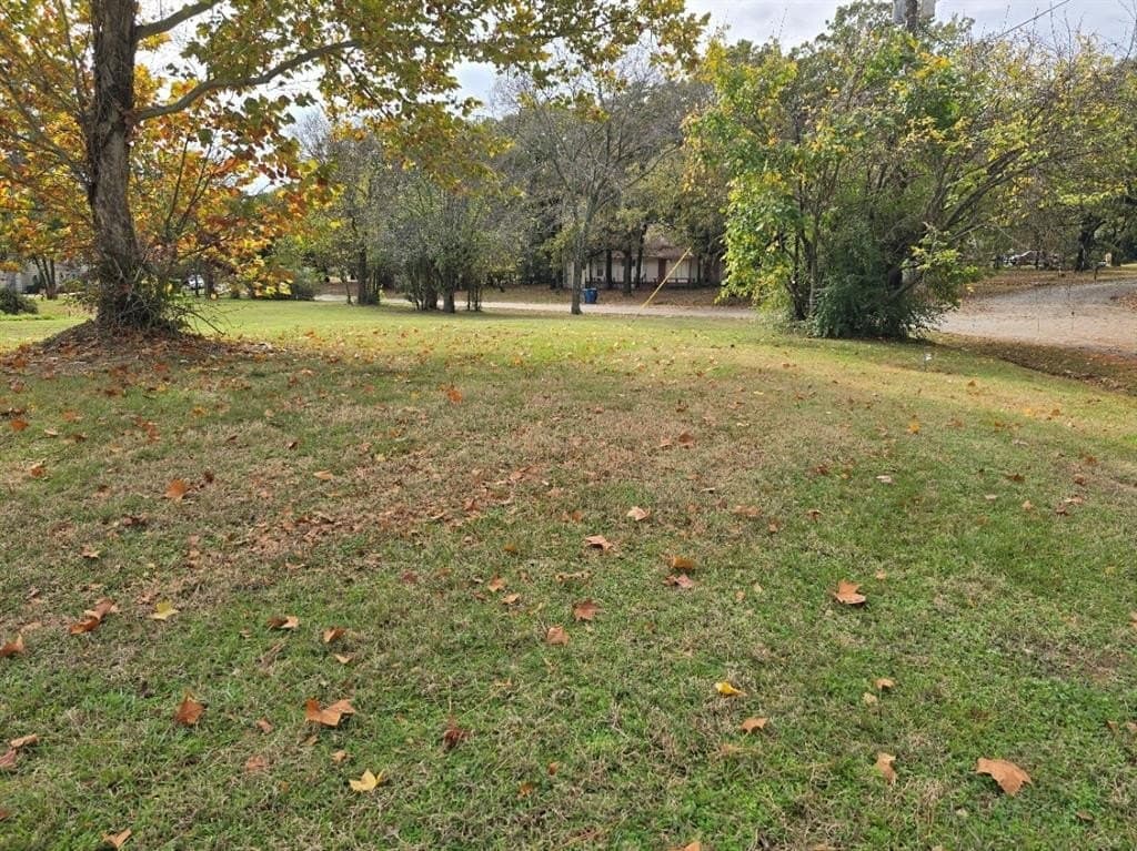 0.44 acres in Henderson County - photo 23