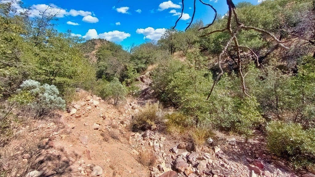 5.49 acres in Jeff Davis County - photo 8