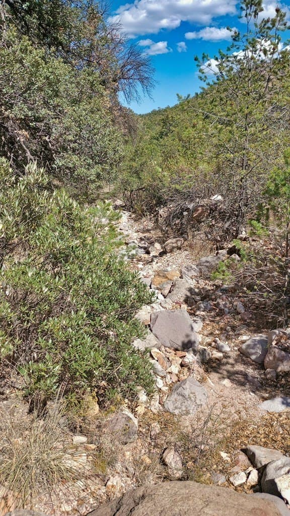 5.49 acres in Jeff Davis County - photo 14