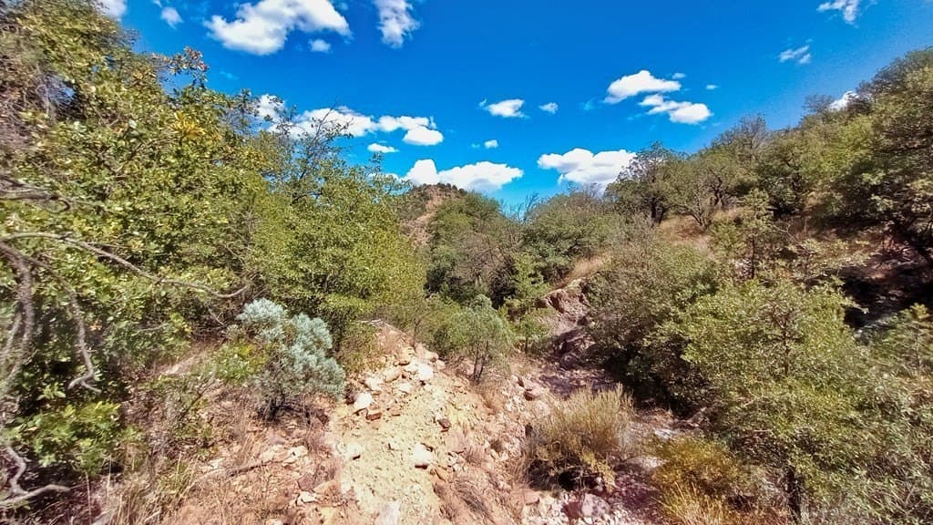 5.49 acres in Jeff Davis County - photo 9