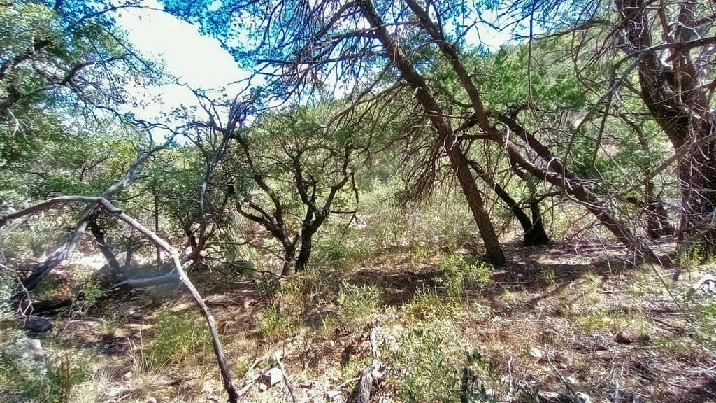 5.49 acres in Jeff Davis County - photo 12