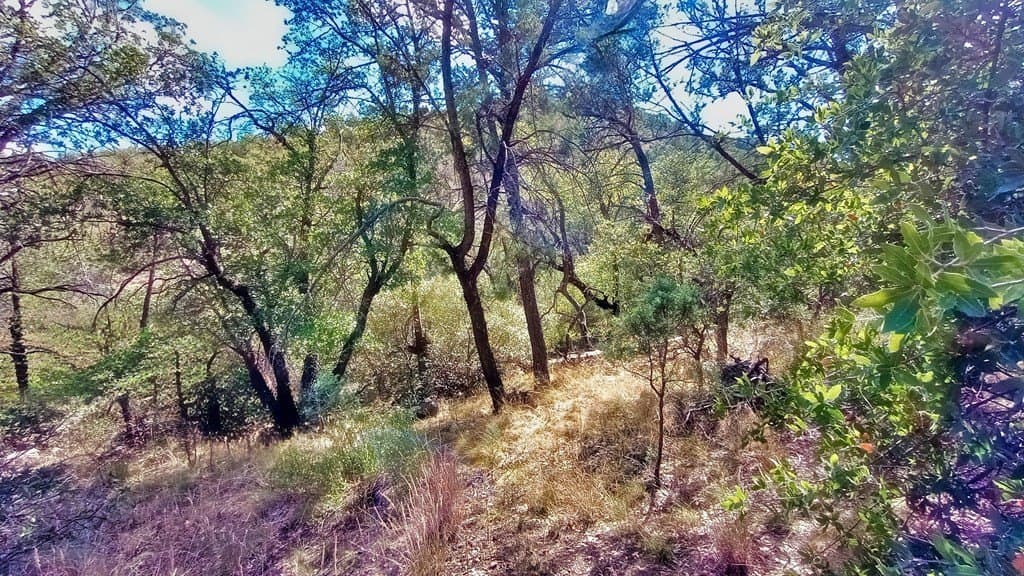 5.49 acres in Jeff Davis County - photo 3