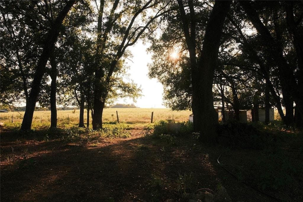 6.98 acres in Hill County - photo 13