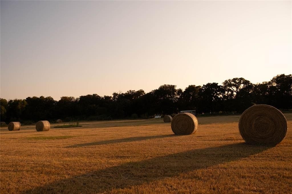 6.98 acres in Hill County - photo 24