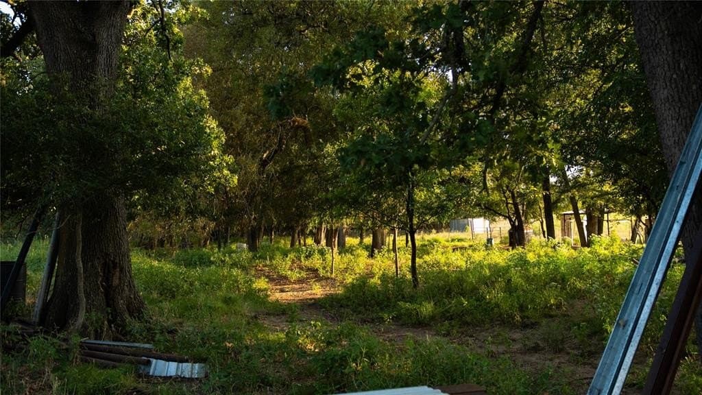 6.98 acres in Hill County - photo 16