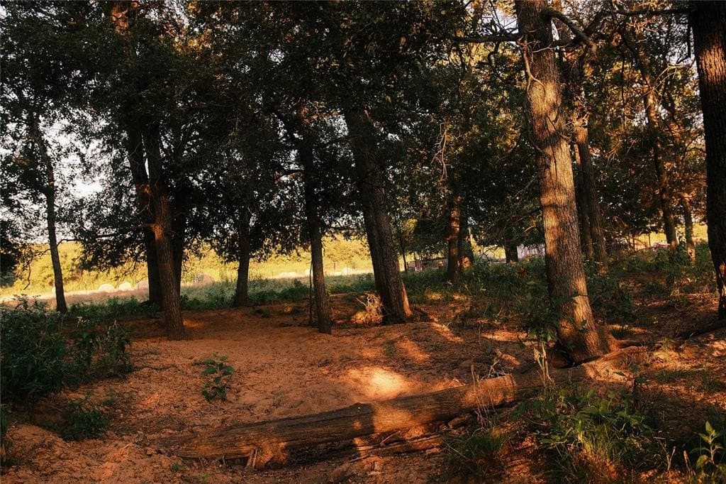 6.98 acres in Hill County - photo 18