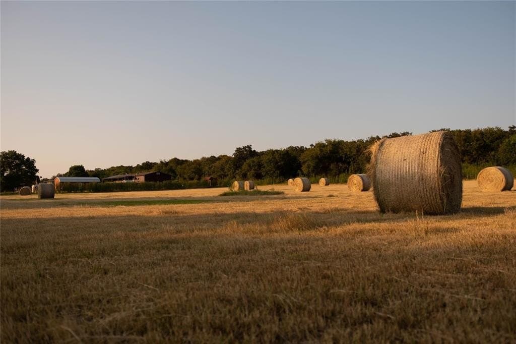 6.98 acres in Hill County - photo 21