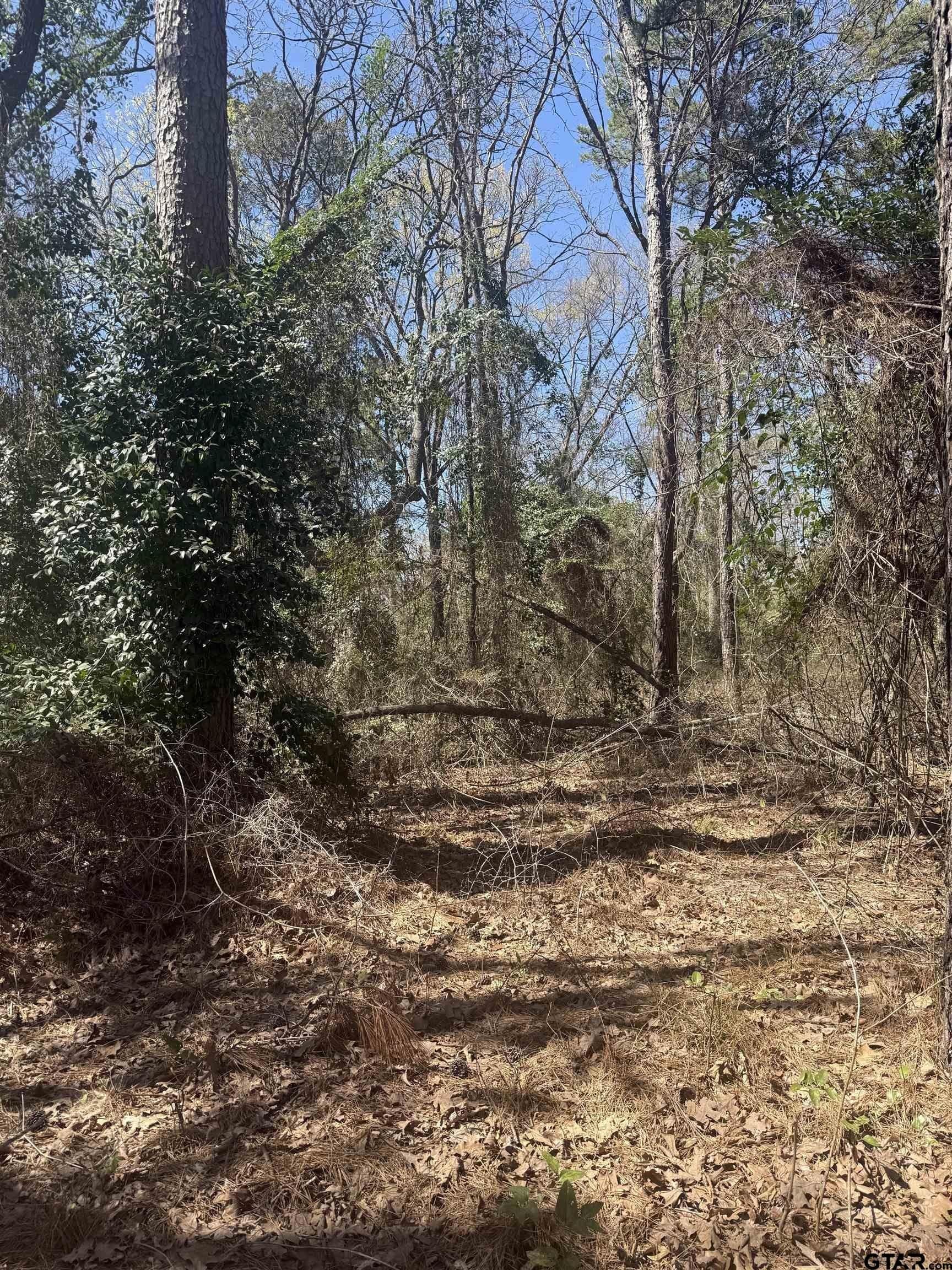 1.25 acres in Franklin County - photo 2