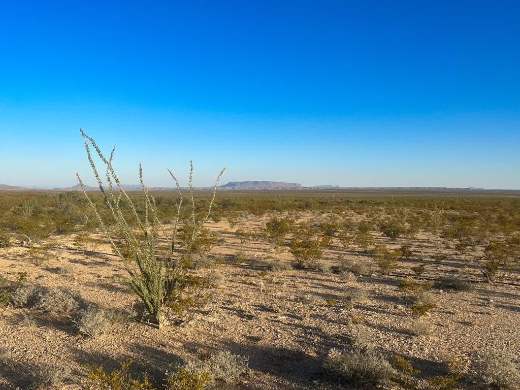 80.09 acres in Brewster County - photo 2