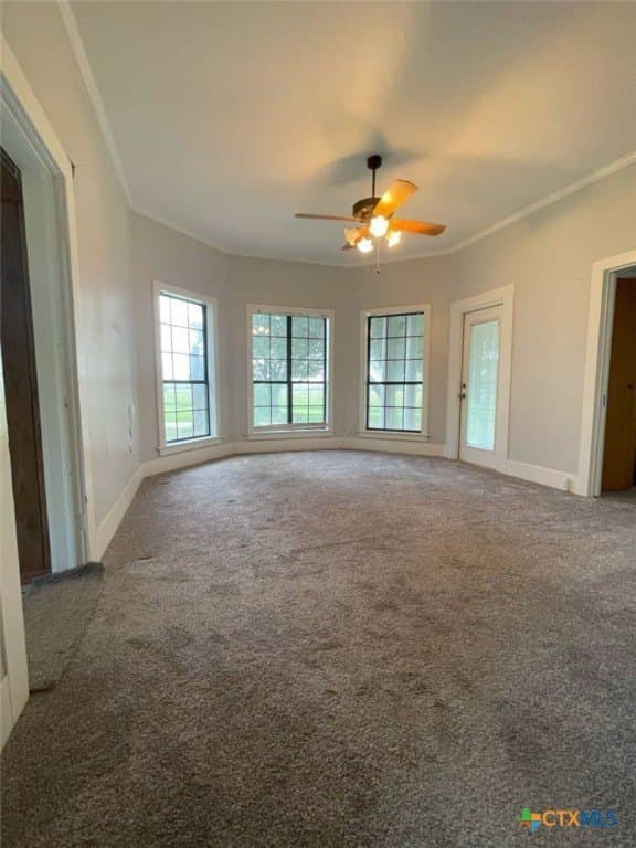 10.45 acres in Milam County - photo 7