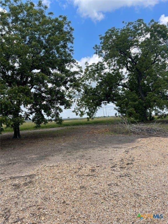 10.45 acres in Milam County - photo 32