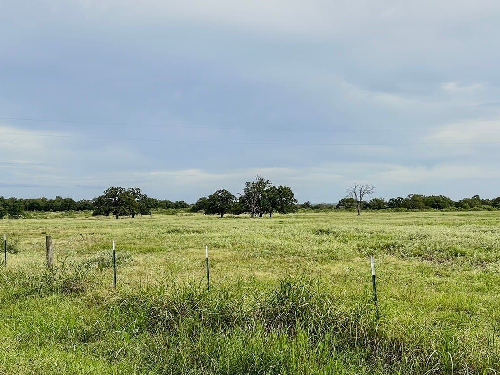 54 acres in Lee County - photo 8