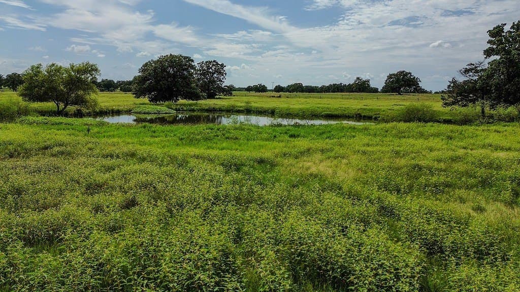 54 acres in Lee County - photo 15