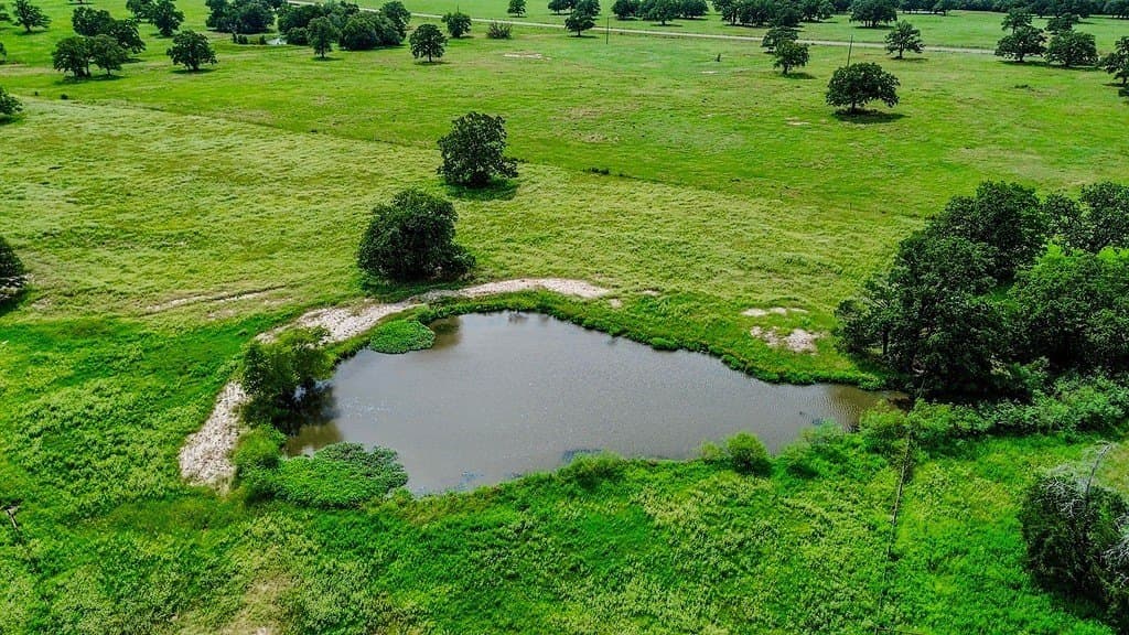 54 acres in Lee County - photo 14