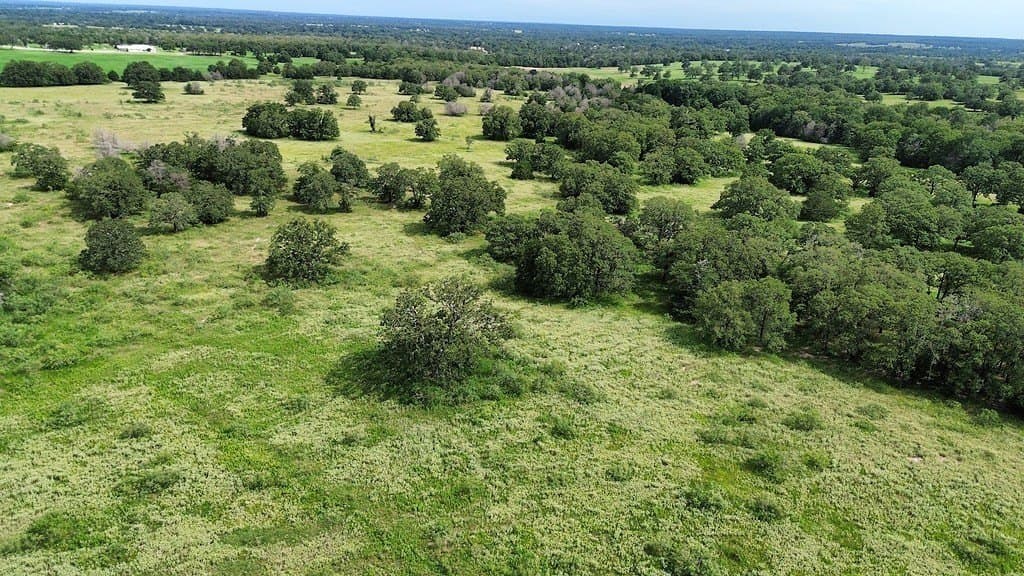 54 acres in Lee County - photo 11