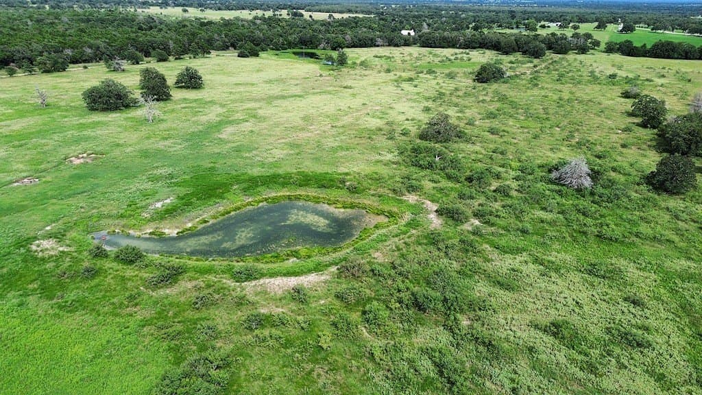 54 acres in Lee County - photo 7