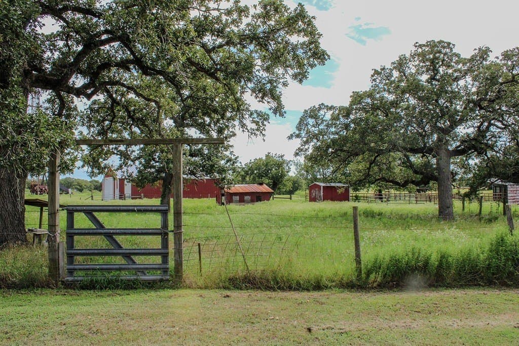 54 acres in Lee County - photo 4