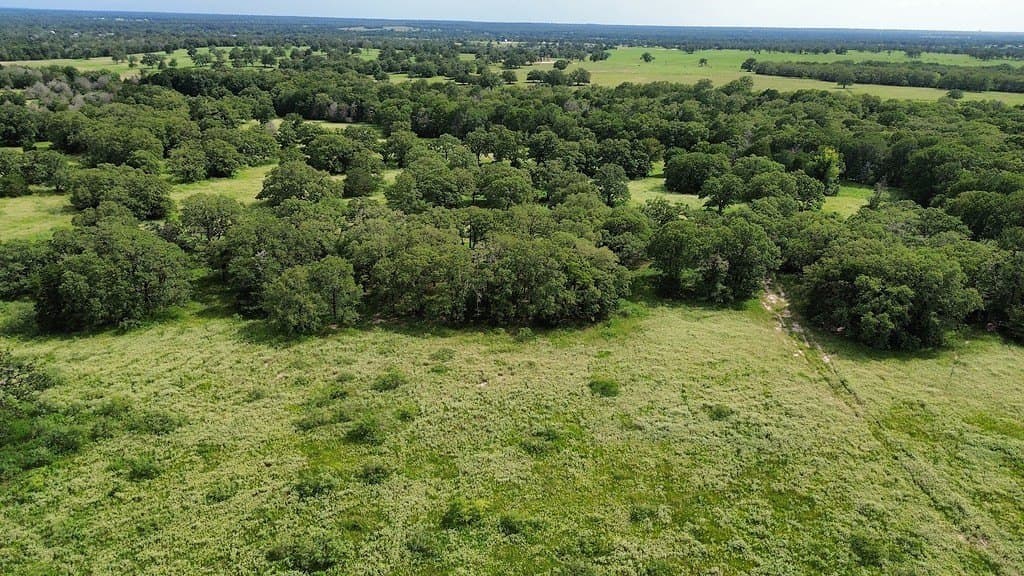 54 acres in Lee County - photo 10
