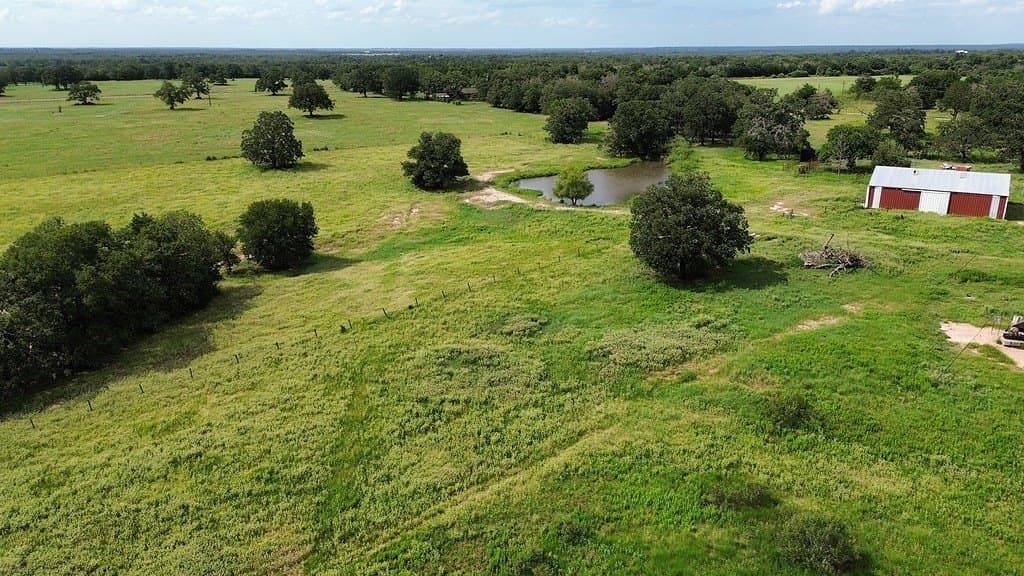 54 acres in Lee County - photo 9