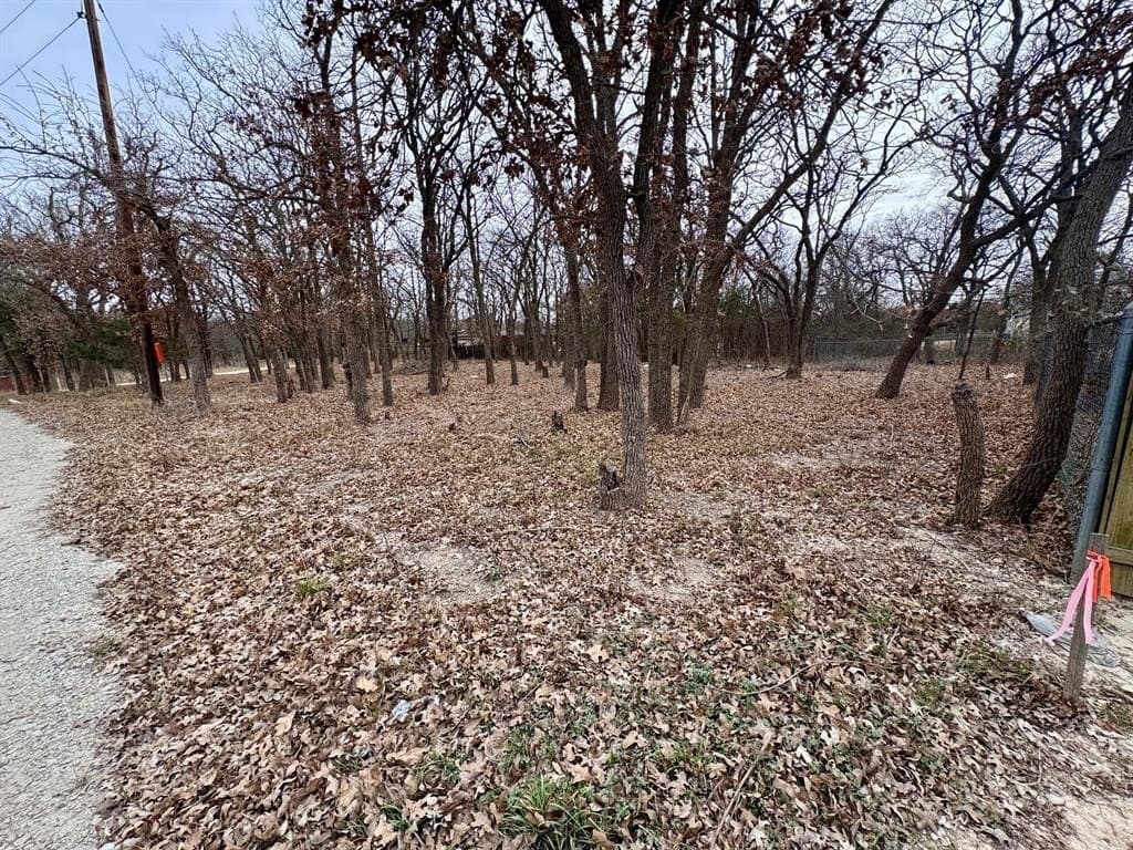 0.54 acres in Cooke County - photo 3
