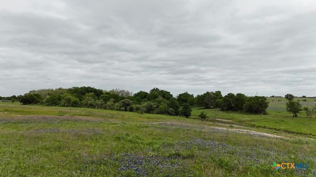 167.2 acres in Bell County - photo 19
