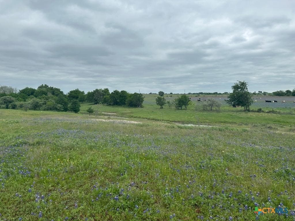 167.2 acres in Bell County - photo 7