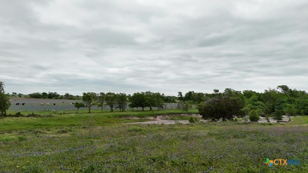 167.2 acres in Bell County - photo 20