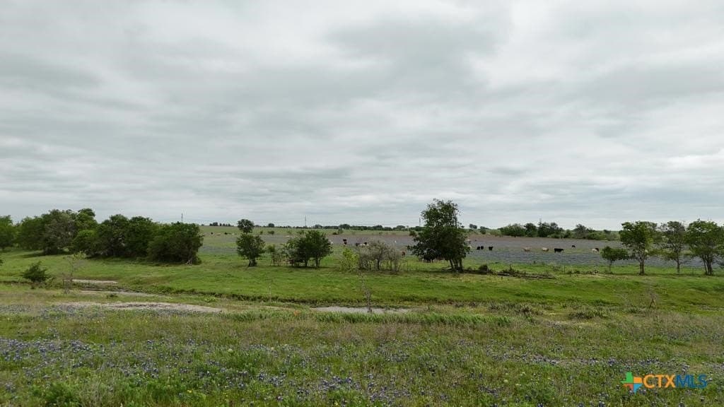 167.2 acres in Bell County - photo 18