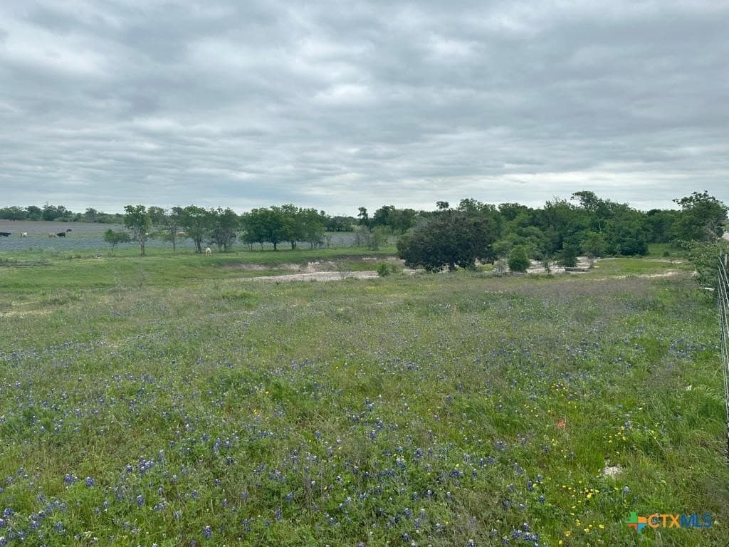 167.2 acres in Bell County - photo 9