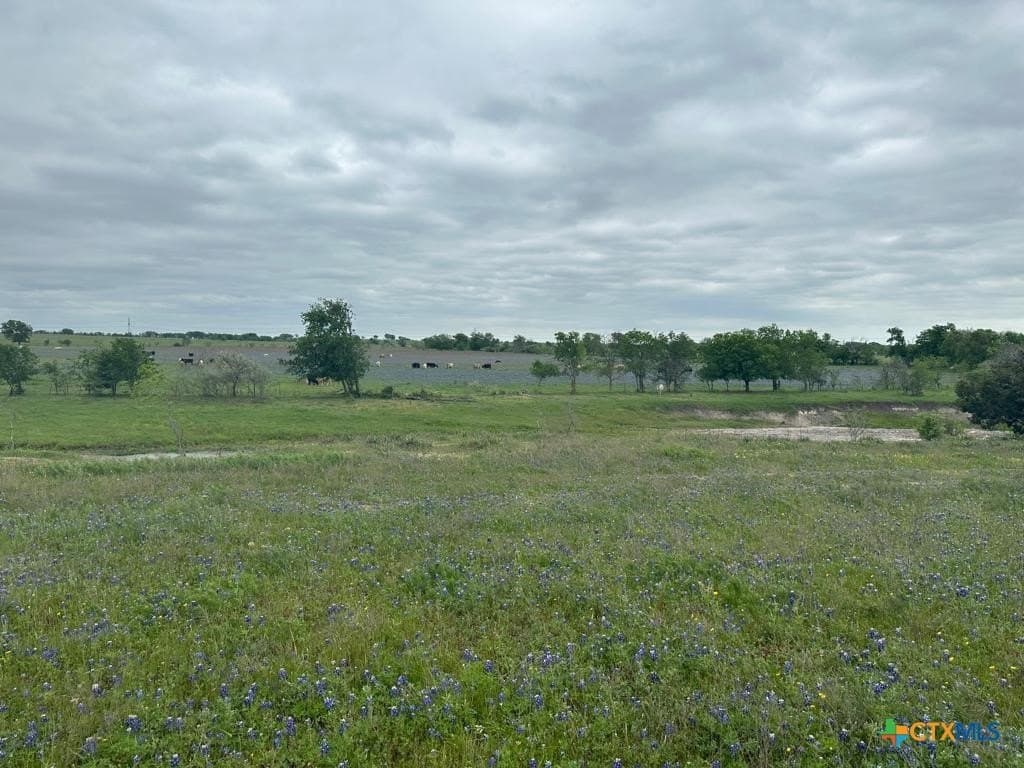 167.2 acres in Bell County - photo 8