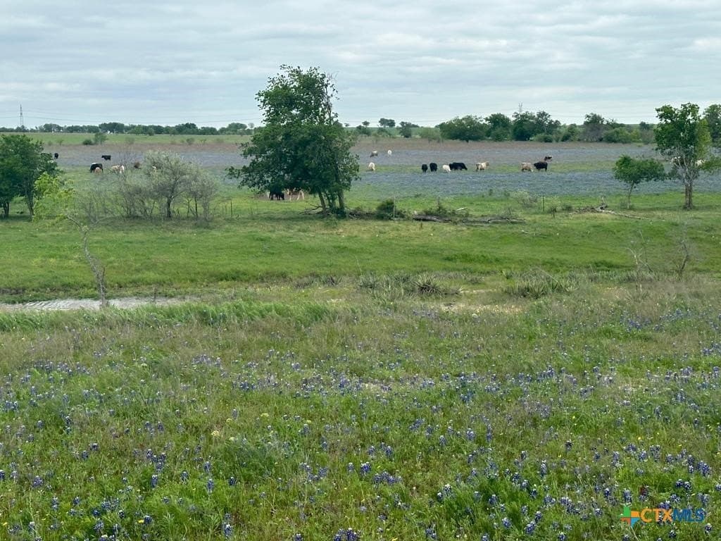 167.2 acres in Bell County - photo 4