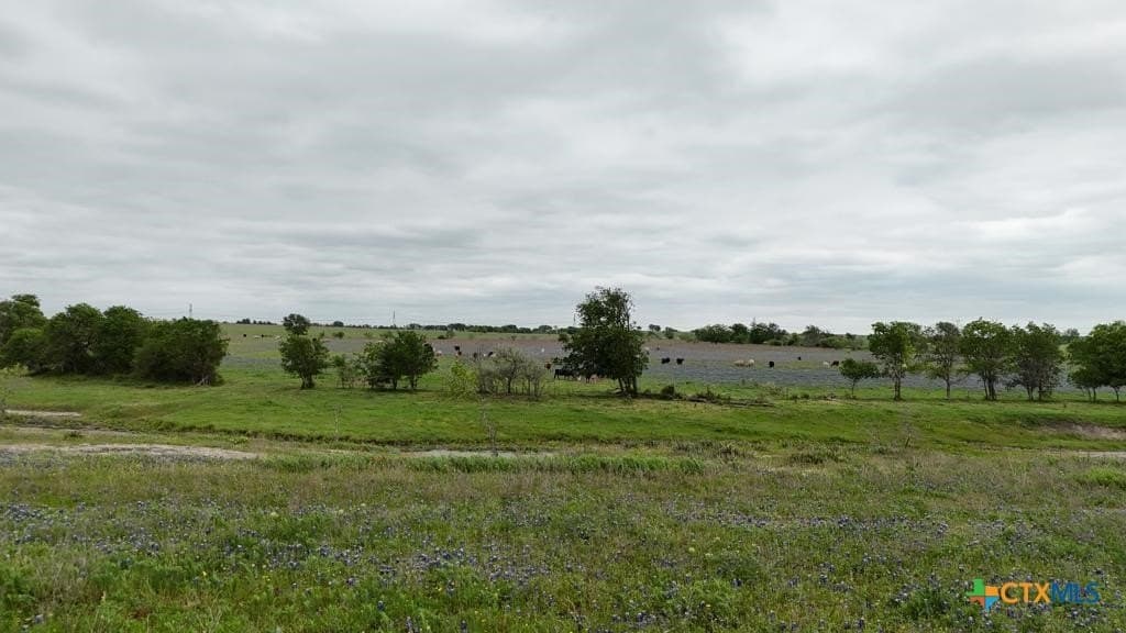 167.2 acres in Bell County - photo 21