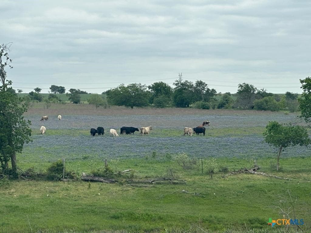 167.2 acres in Bell County - photo 5