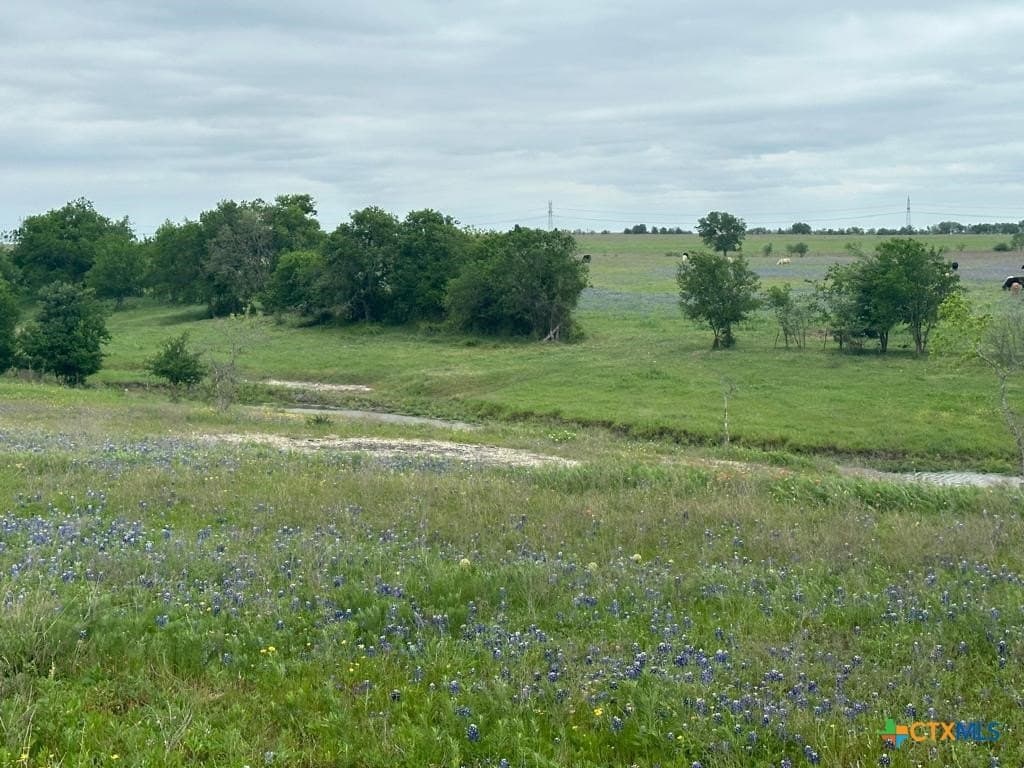 167.2 acres in Bell County - photo 3