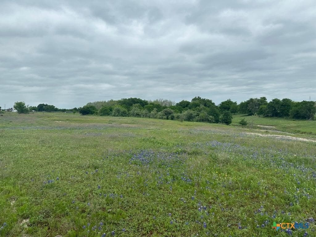 167.2 acres in Bell County - photo 6