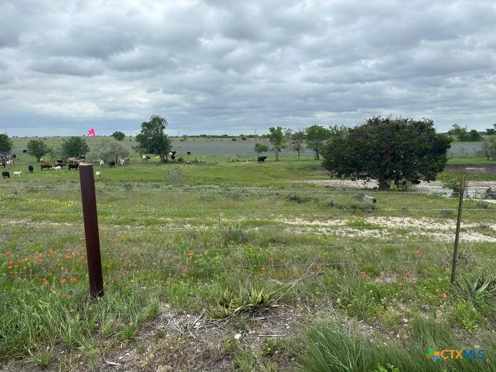 167.2 acres in Bell County - photo 17