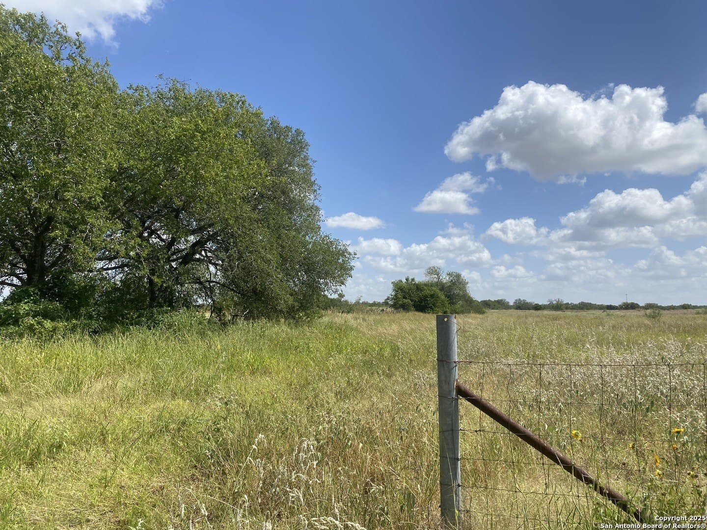 45.05 acres in Atascosa County - photo 13