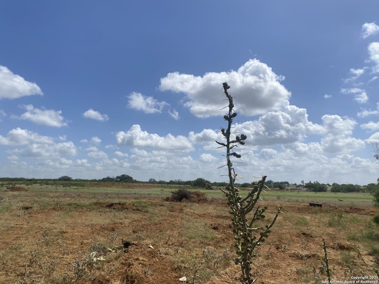 45.05 acres in Atascosa County - photo 7