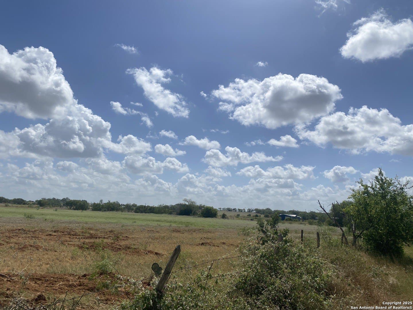 45.05 acres in Atascosa County - photo 10