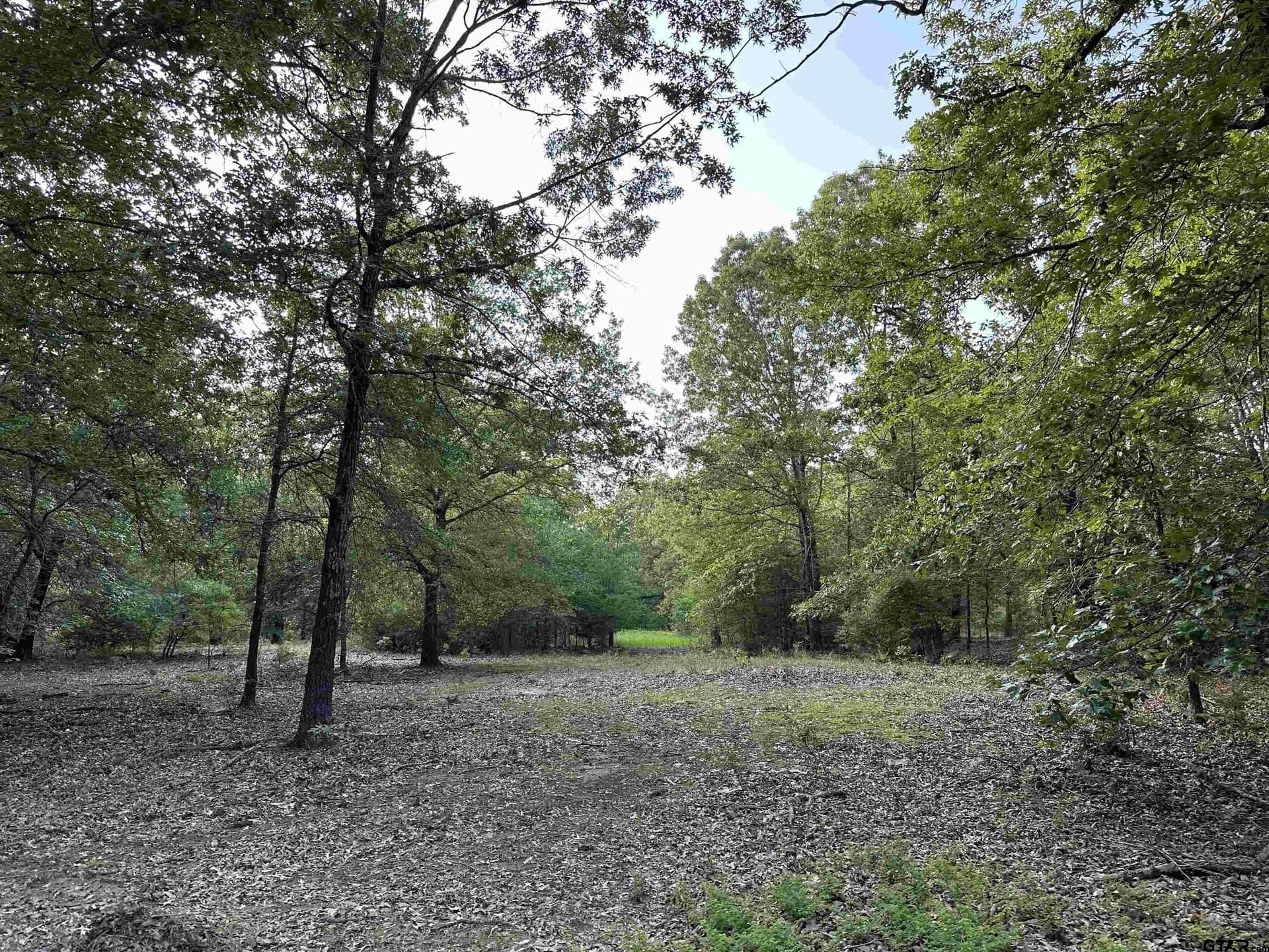 25 acres in Hopkins County - photo 4