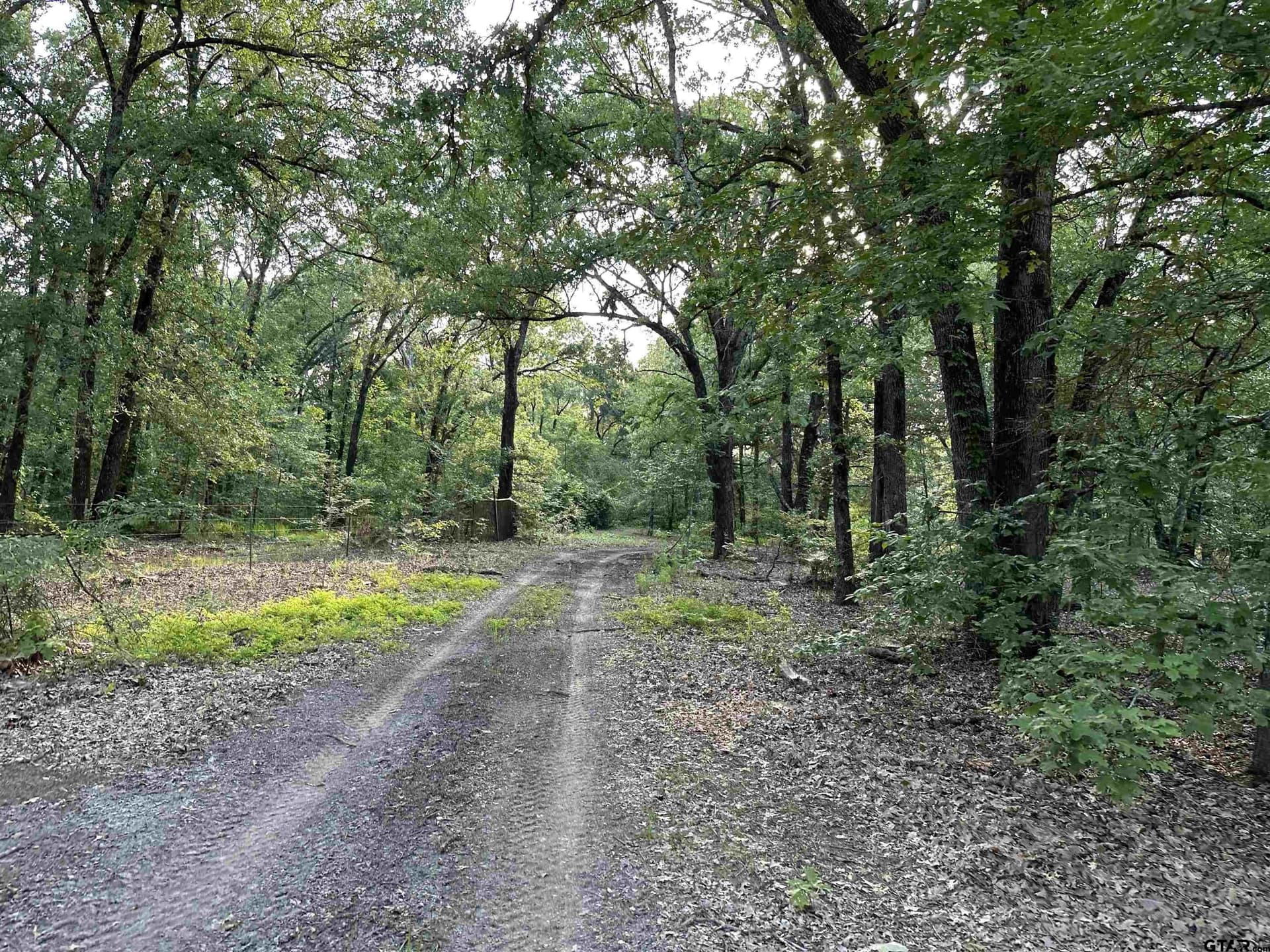 25 acres in Hopkins County - photo 5