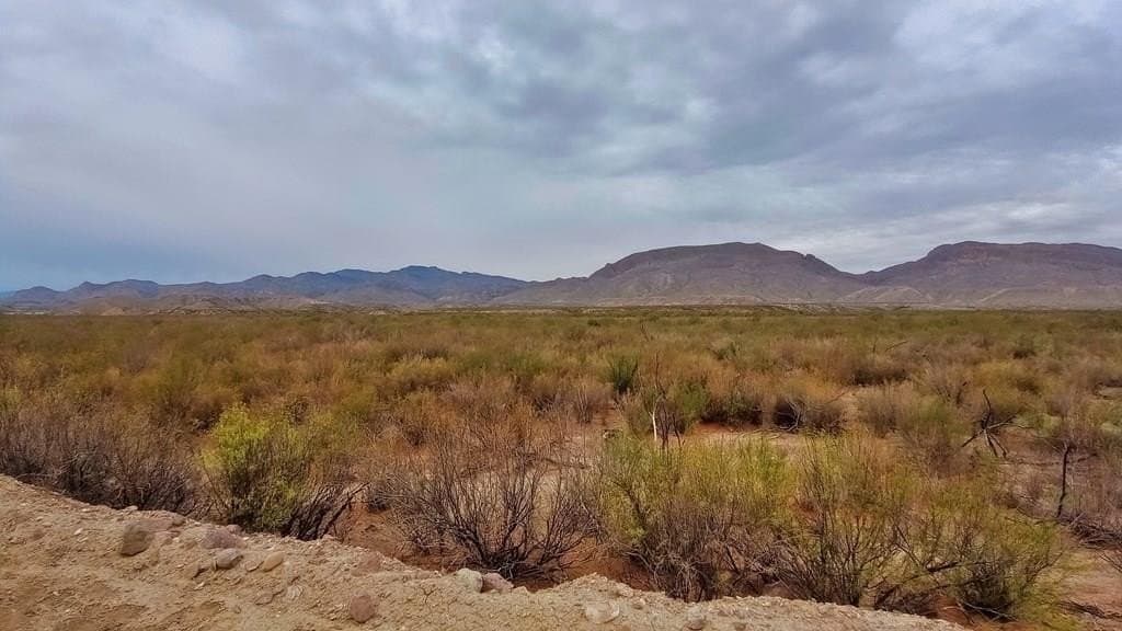 10 acres in Culberson County - photo 5