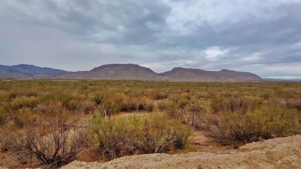 10 acres in Culberson County - photo 6