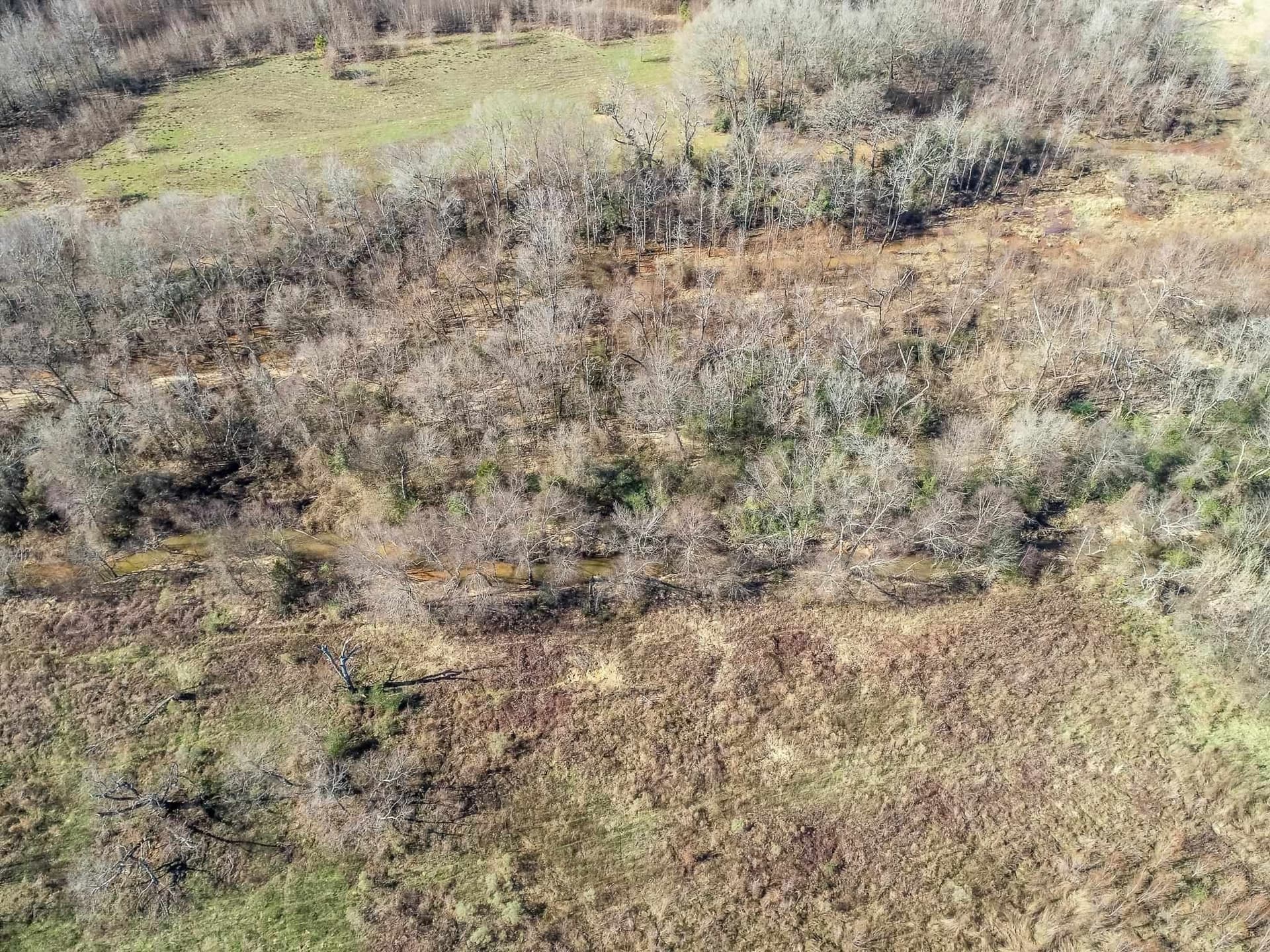 39 acres in Gregg County - photo 8