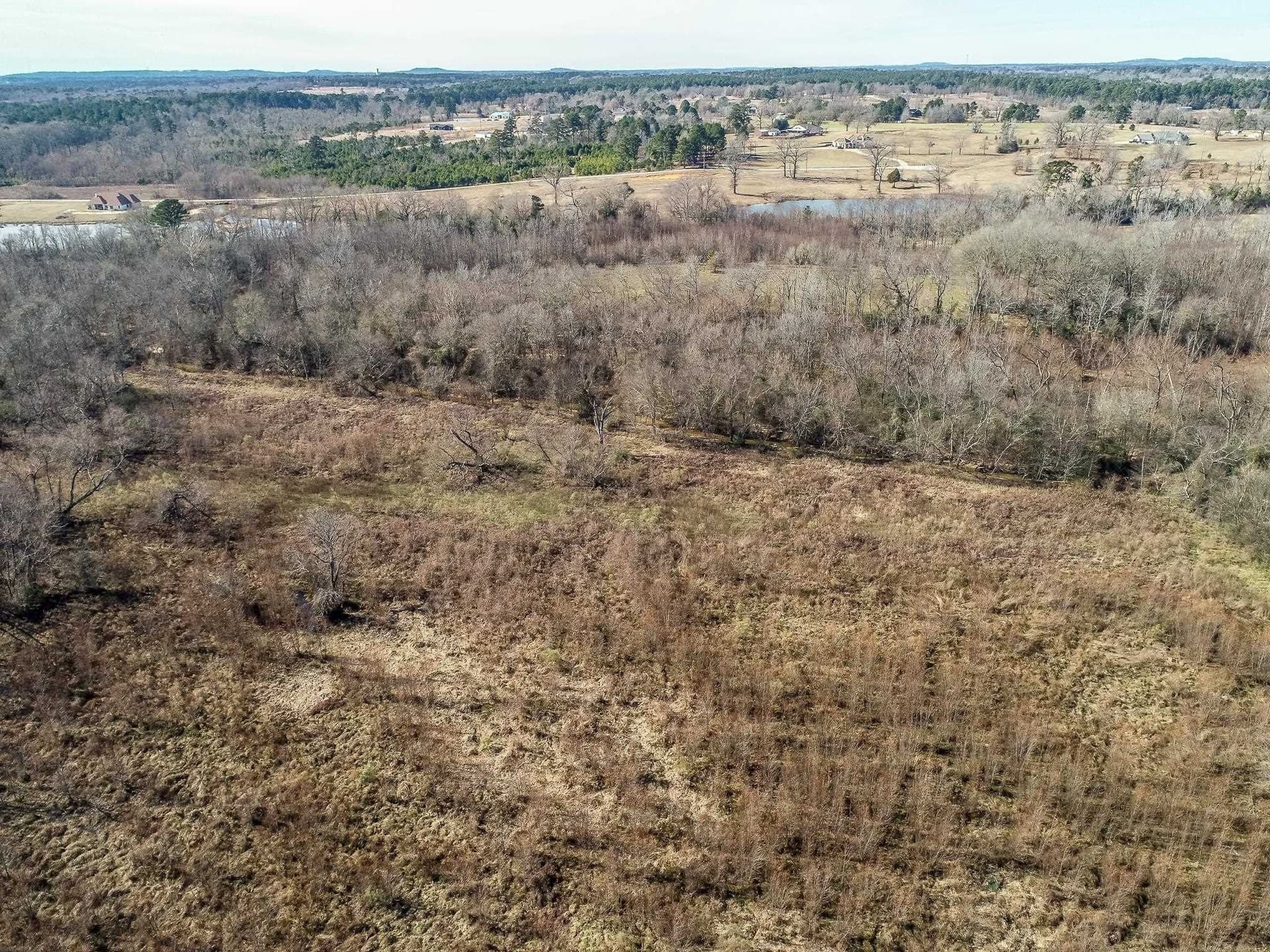 39 acres in Gregg County - photo 7
