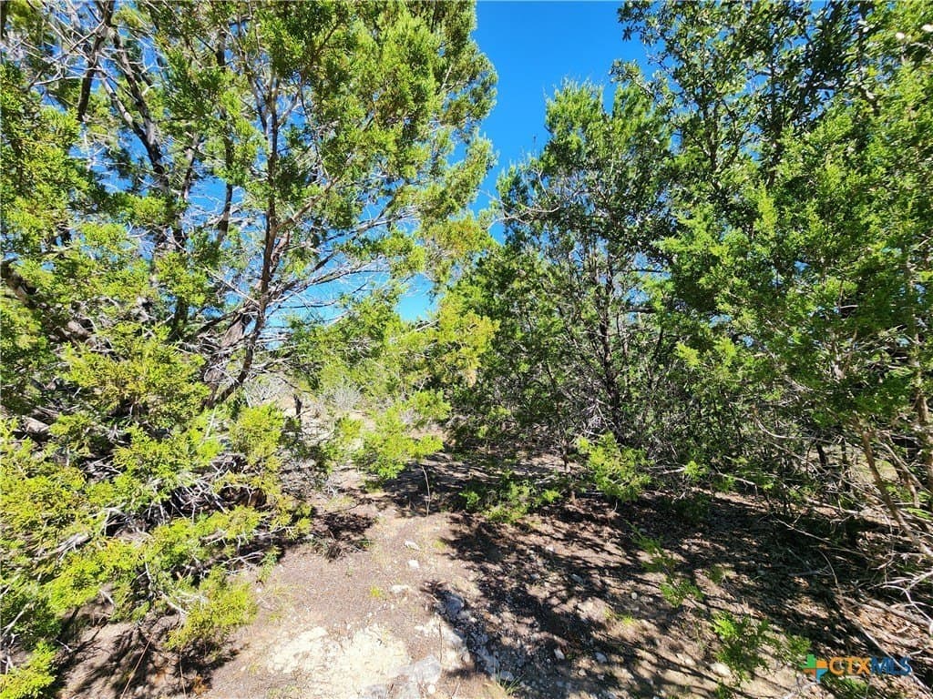 7.51 acres in Burnet County - photo 11