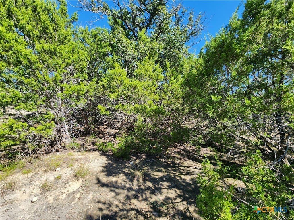 7.51 acres in Burnet County - photo 9