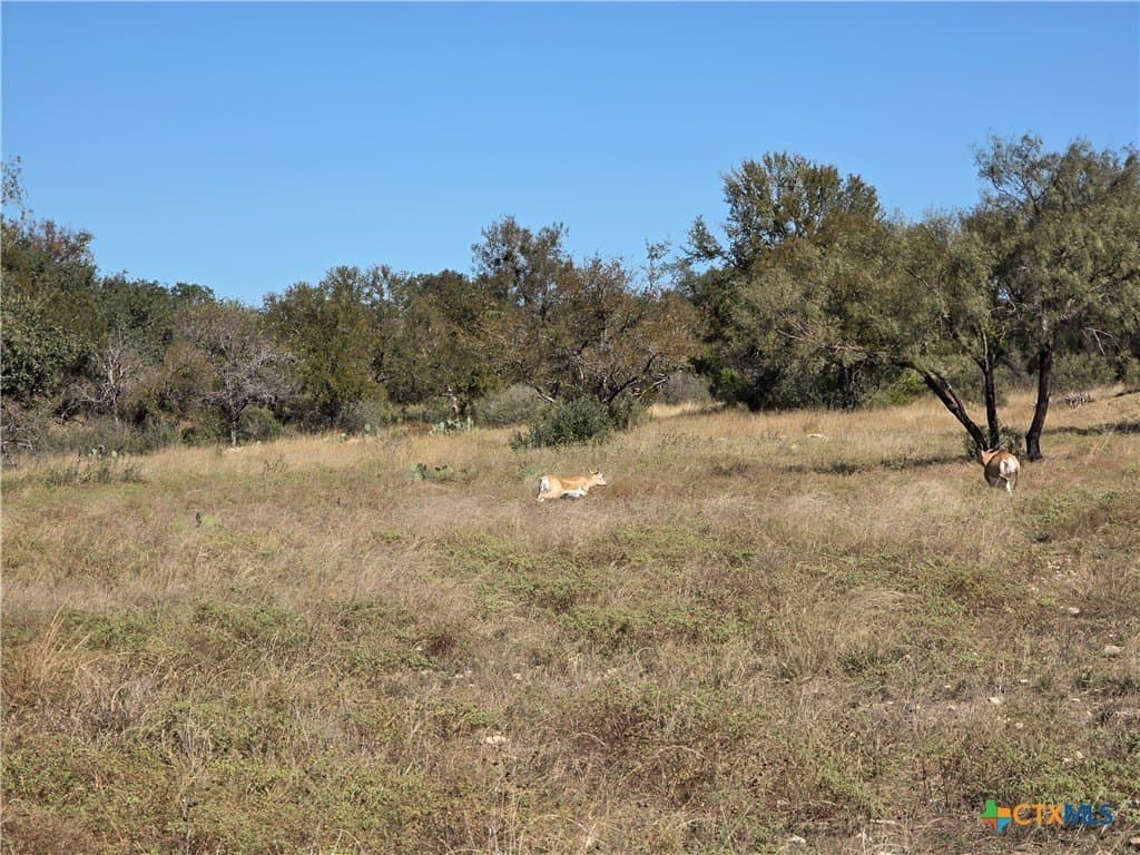 7.51 acres in Burnet County - photo 26