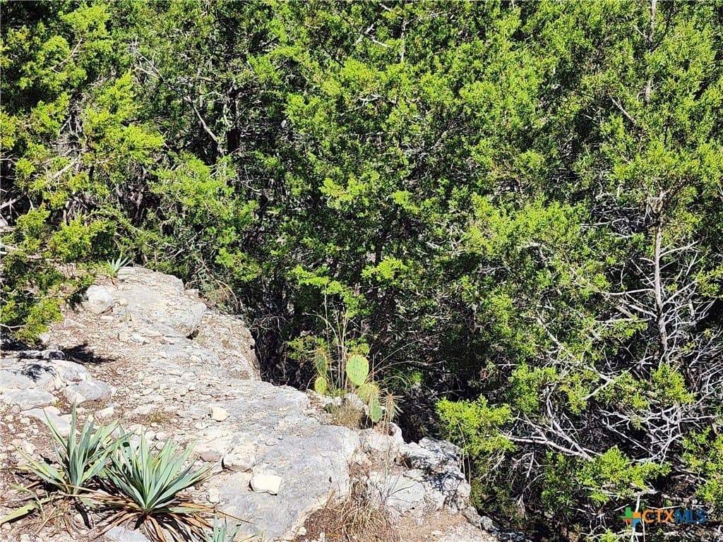 7.51 acres in Burnet County - photo 18
