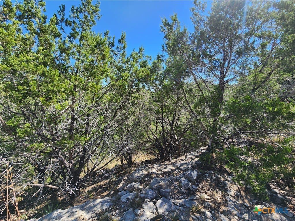 7.51 acres in Burnet County - photo 16